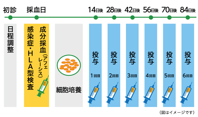 樹状細胞WT-1ペプチドワクチン療法