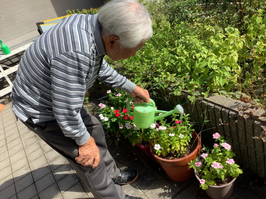屋外庭園 とうぶ園芸日記19 地域密着型 屋外庭園 とうぶ園芸日記19 地域密着型