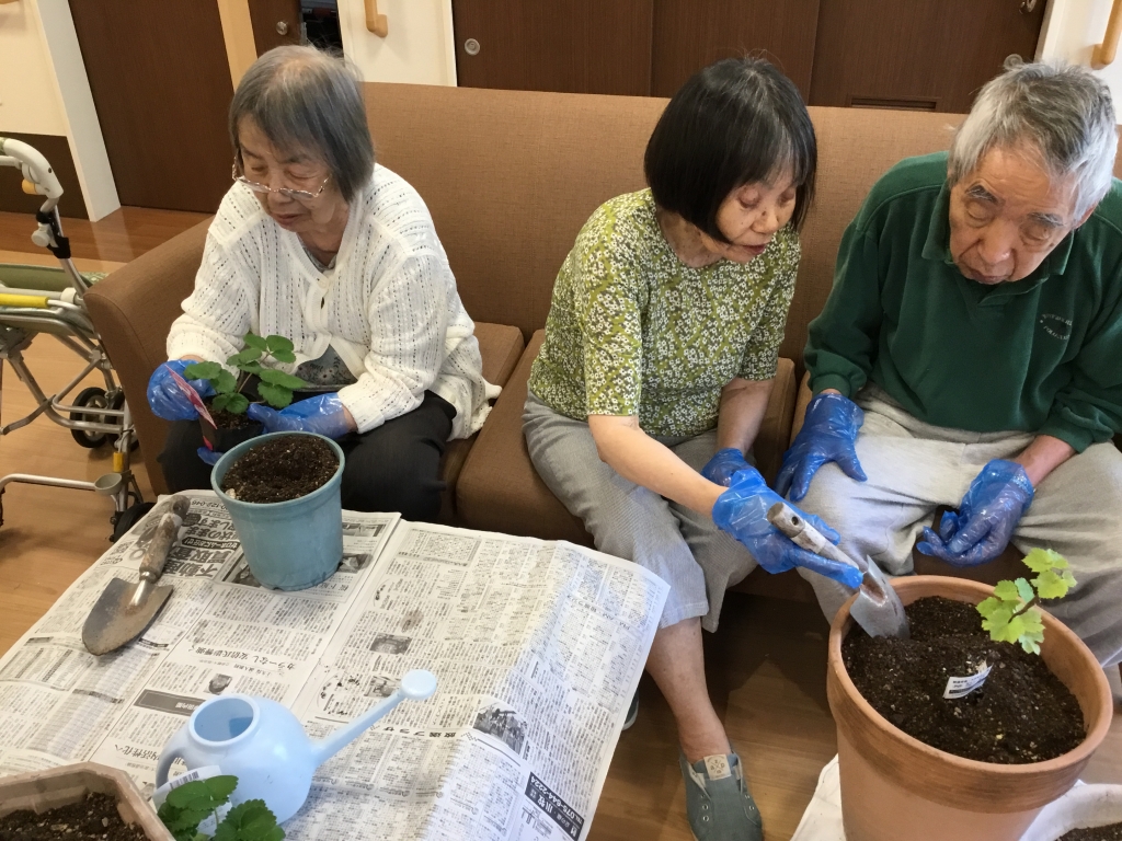 室内で園芸