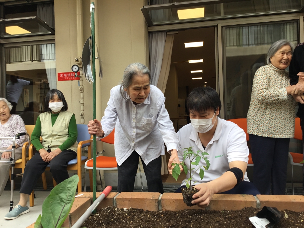 苗植え