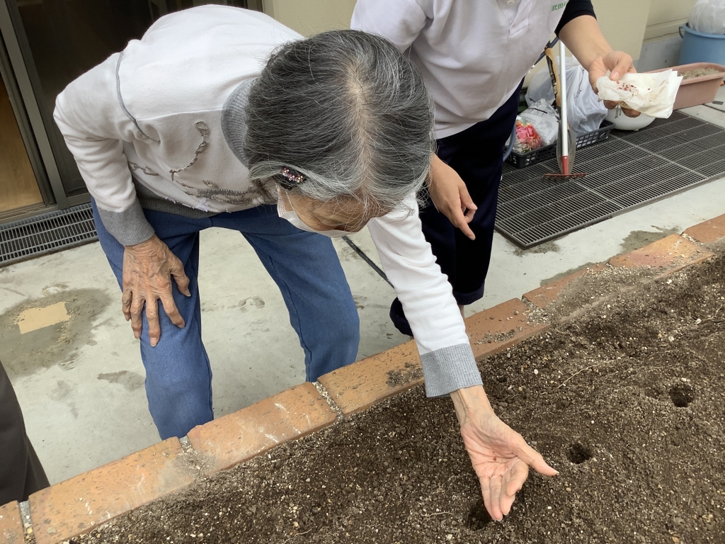 人参も植えます♪