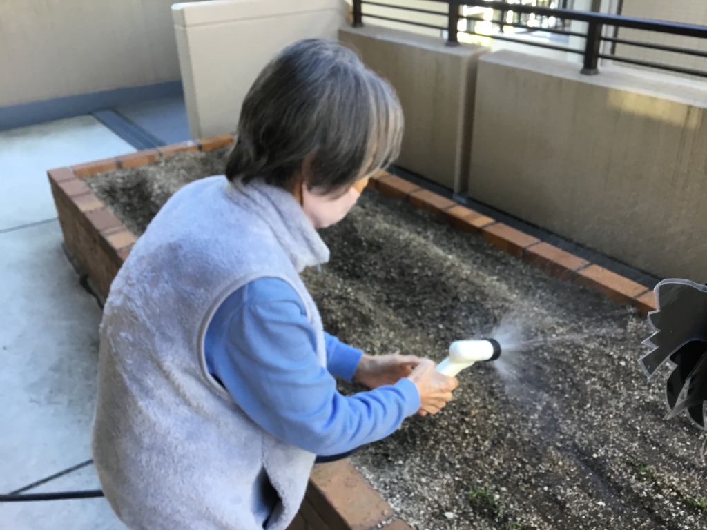 水やりも忘れずに♪