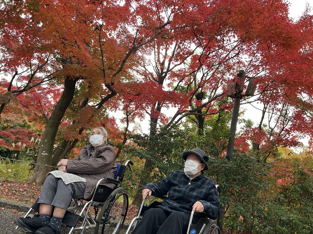 宇治市植物公園