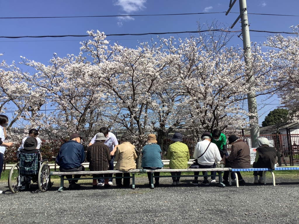 お花見日和