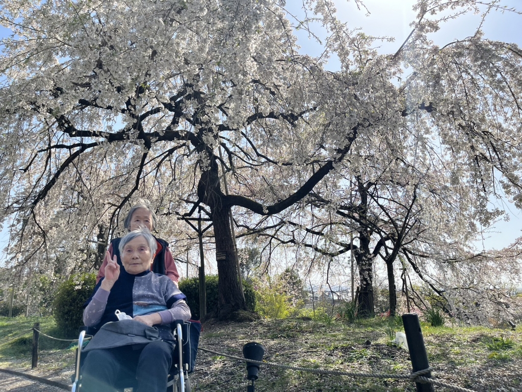 桜の前で記念写真📷