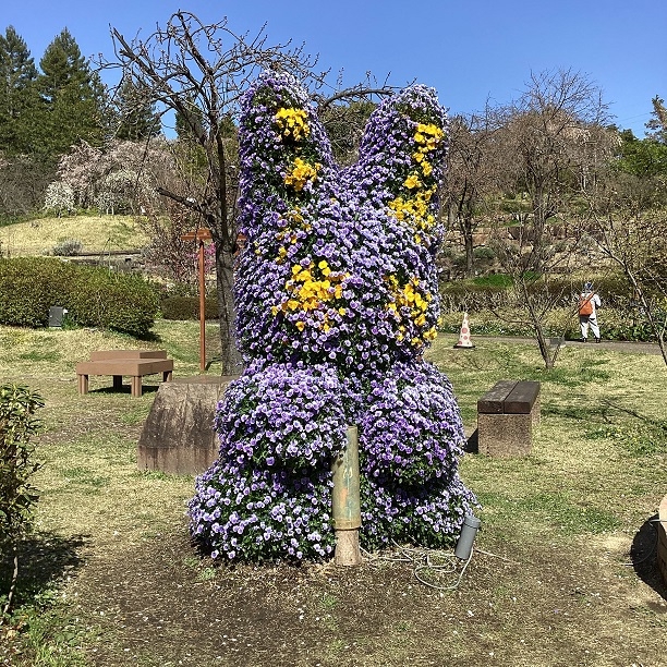 宇治市植物公園までお出かけしてきました🚙