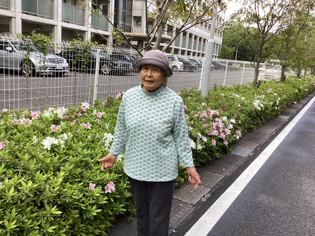 つつじが綺麗です🌺