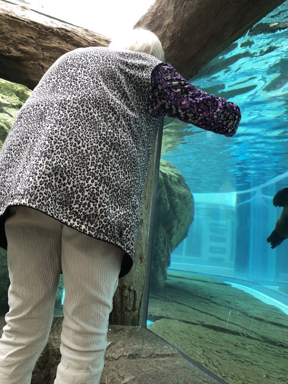 念願の京都水族館へ