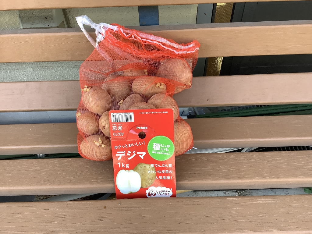 （グループホーム）秋野菜の栽培開始！