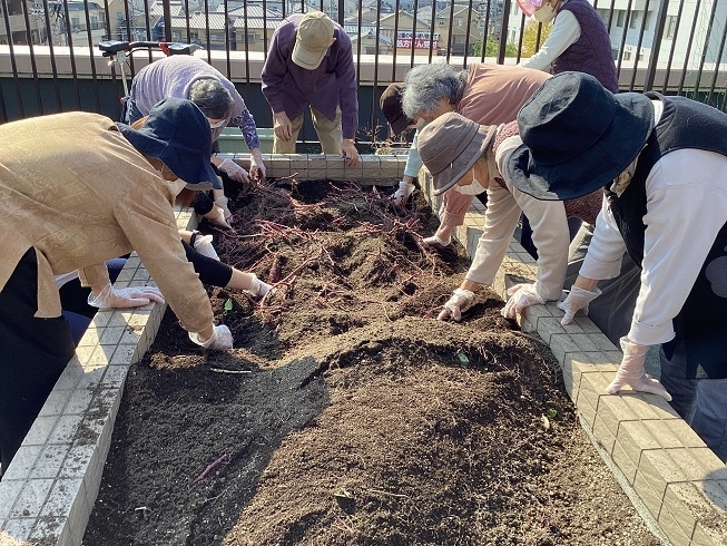 さぁ！今日はおイモ掘りです。