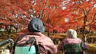 紅葉にうっとり