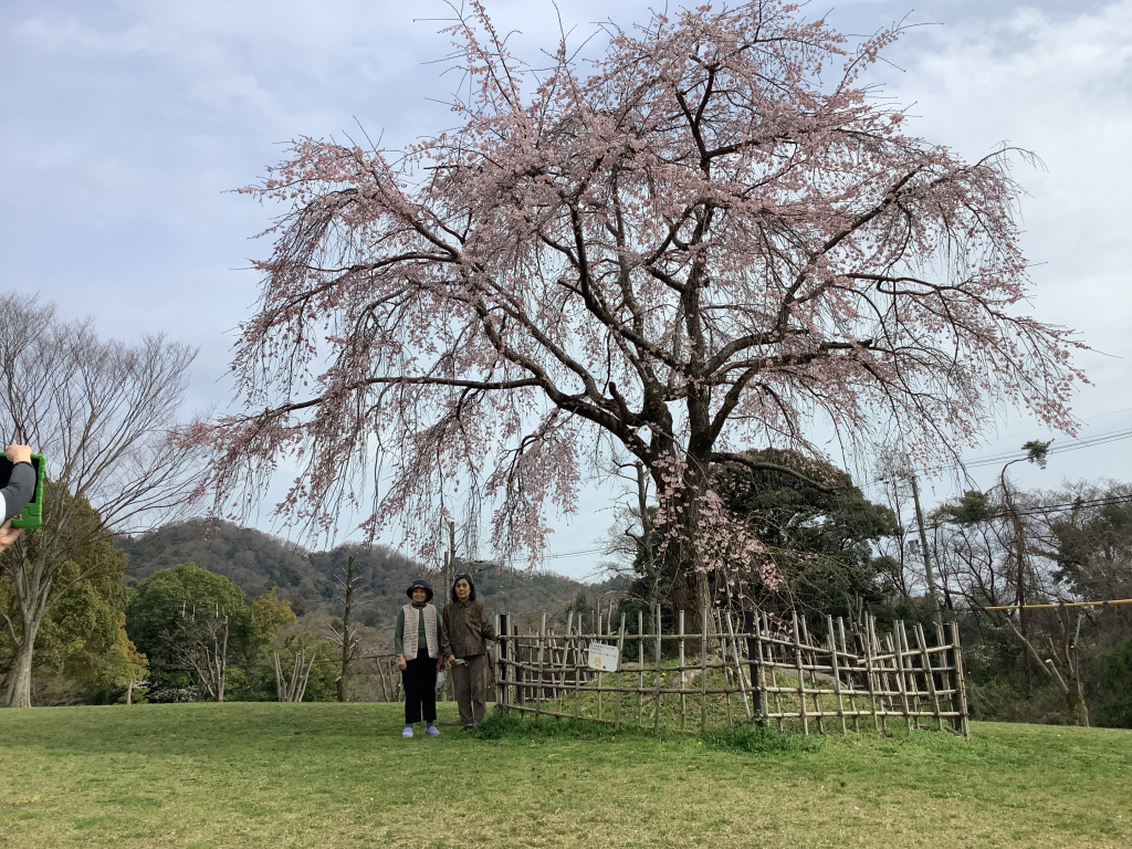 黄檗公園に行ってきました！