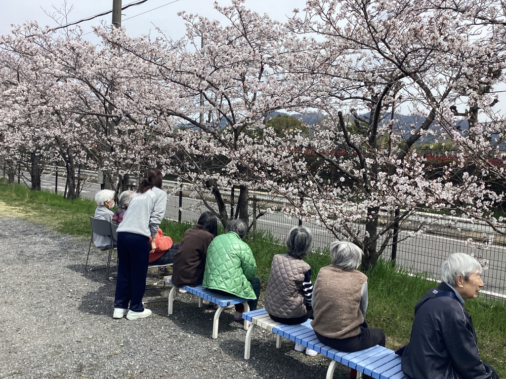 🌸お花見🌸