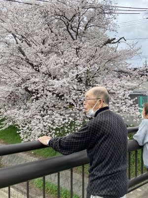 お花見