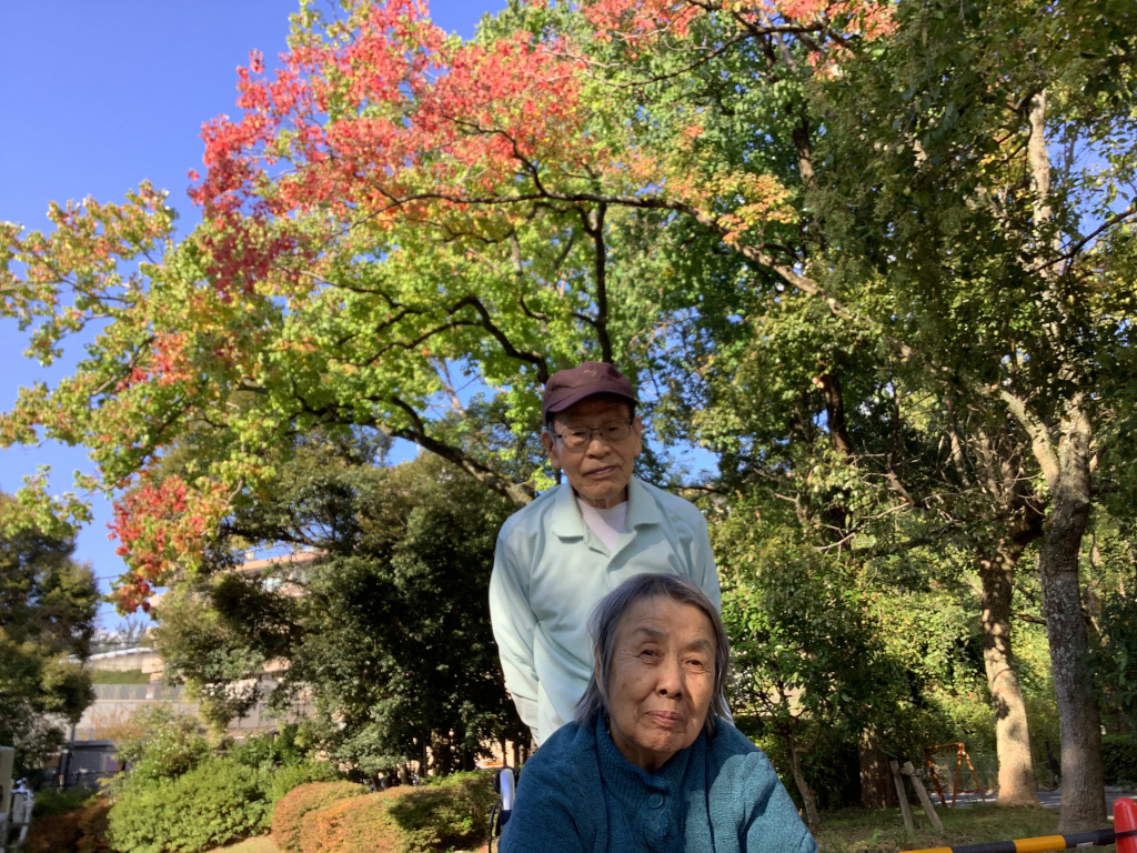 11月11日（月）
