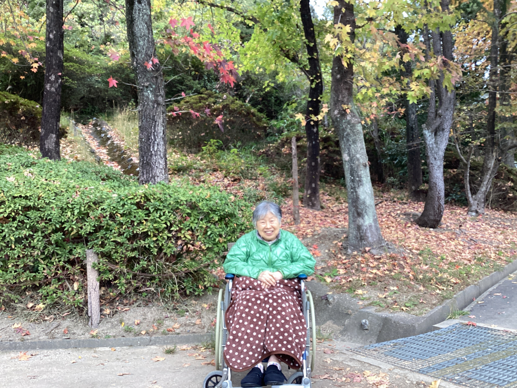 11月24日（日）