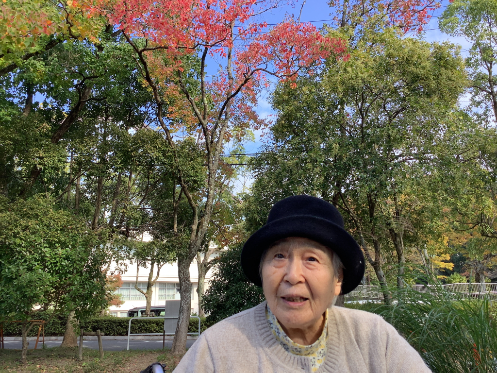 11月14日（木）