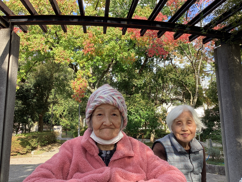 11月12日（火）
