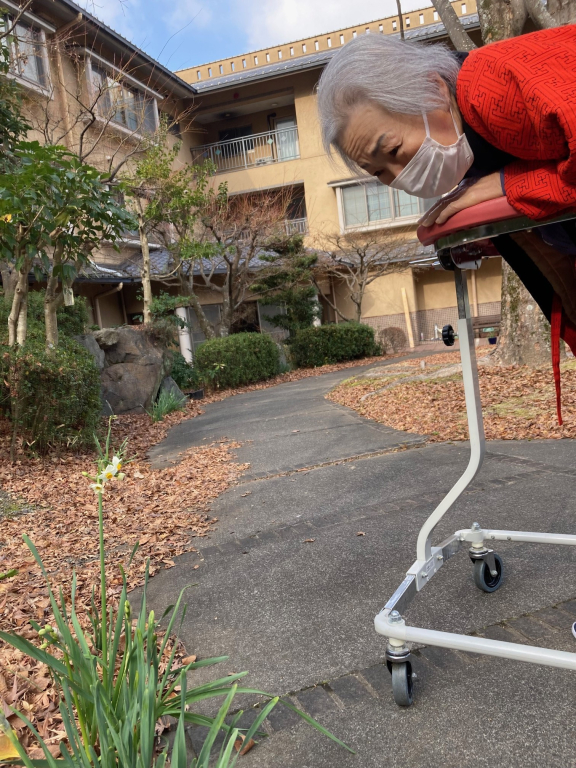 久しぶりのお庭の散歩