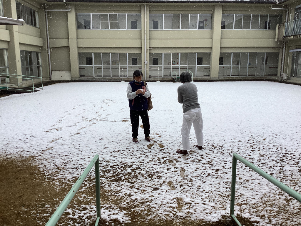 雪が降りました