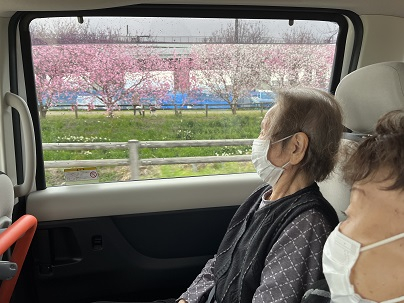 春を満喫