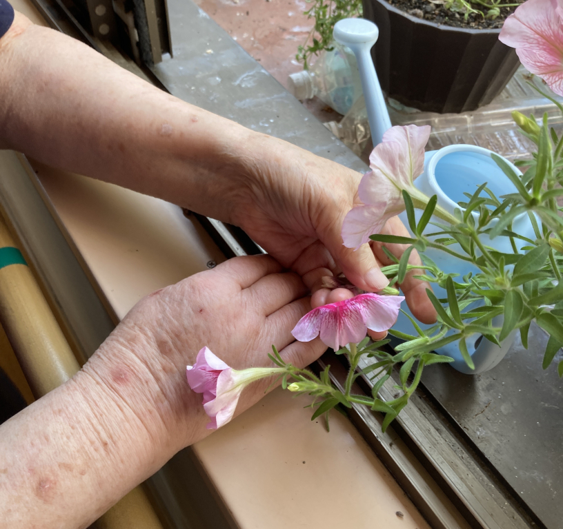 花殻とり