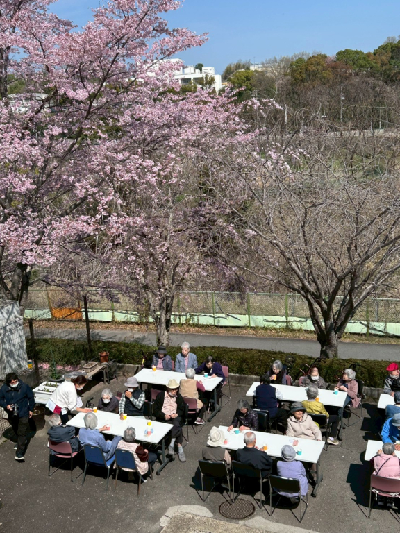 施設お花見