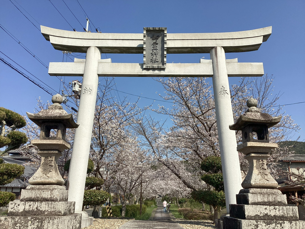 ぼかぼかいいお天気