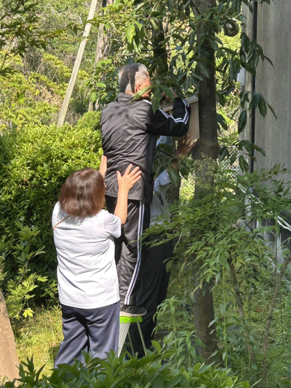 鳥の巣箱