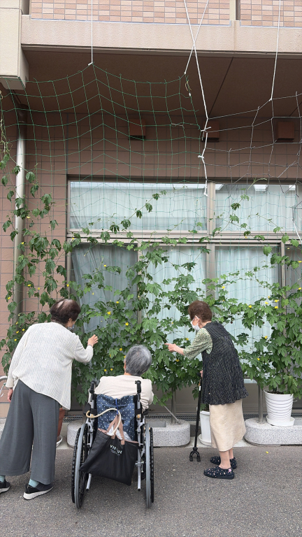 すくすく成長しています🍃