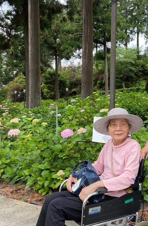 初夏の訪れを感じて♪三室戸寺へあじさい見学
