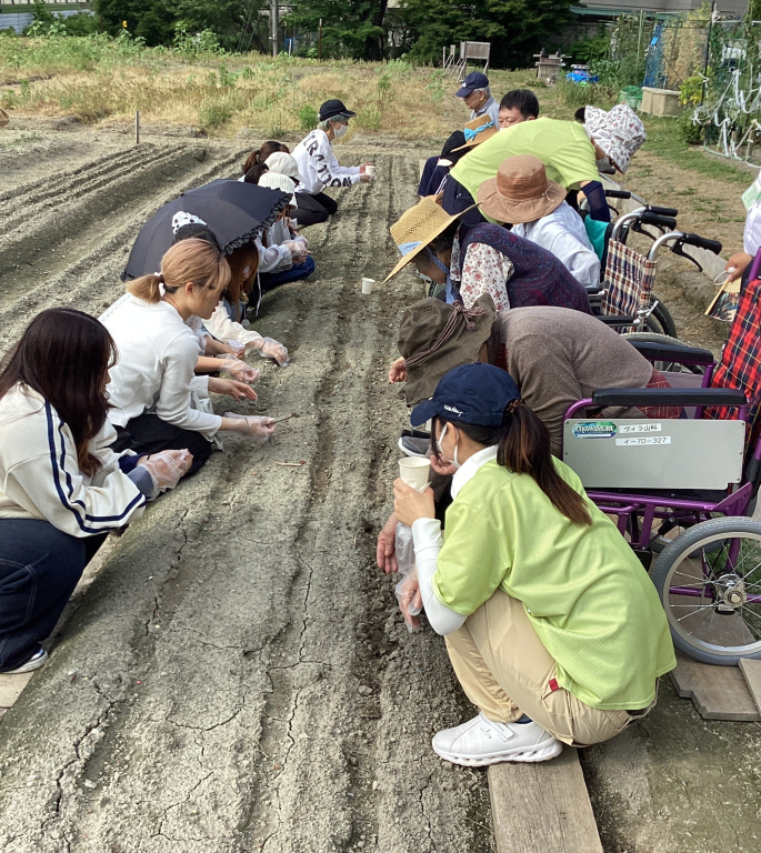 ☆ひまわりの種まき☆