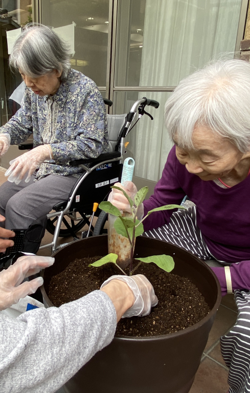 山科なす★とうがらし栽培