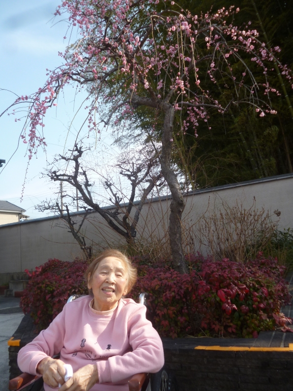 梅は咲いたか桜はまだかいな 地域密着型 梅は咲いたか桜はまだかいな 地域密着型