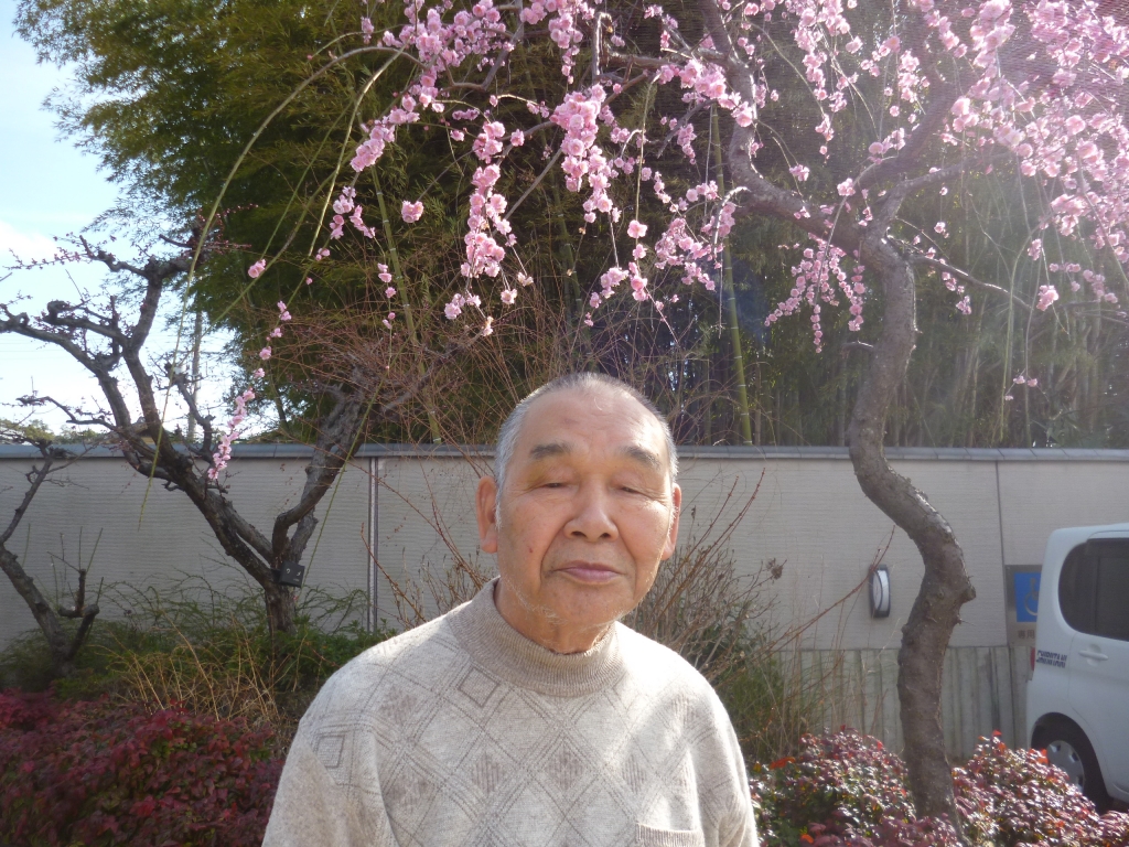 梅は咲いたか桜はまだかいな 地域密着型 梅は咲いたか桜はまだかいな 地域密着型
