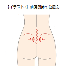 02 おしりやももの付け根が痛いのは 仙腸関節障害かも チーム脳外 脳神経外科医のブログ