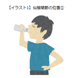 02 おしりやももの付け根が痛いのは 仙腸関節障害かも チーム脳外 脳神経外科医のブログ