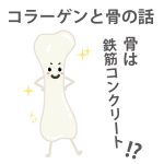 13．コラーゲンと骨のお話