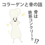 13. コラーゲンと骨のお話