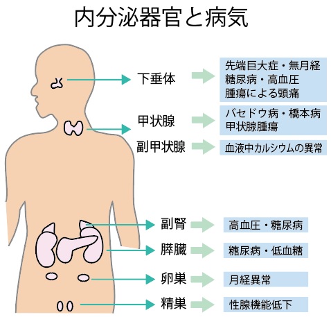 甲状腺 が ん 症状