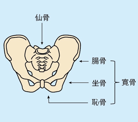 仙骨 骨折 治療