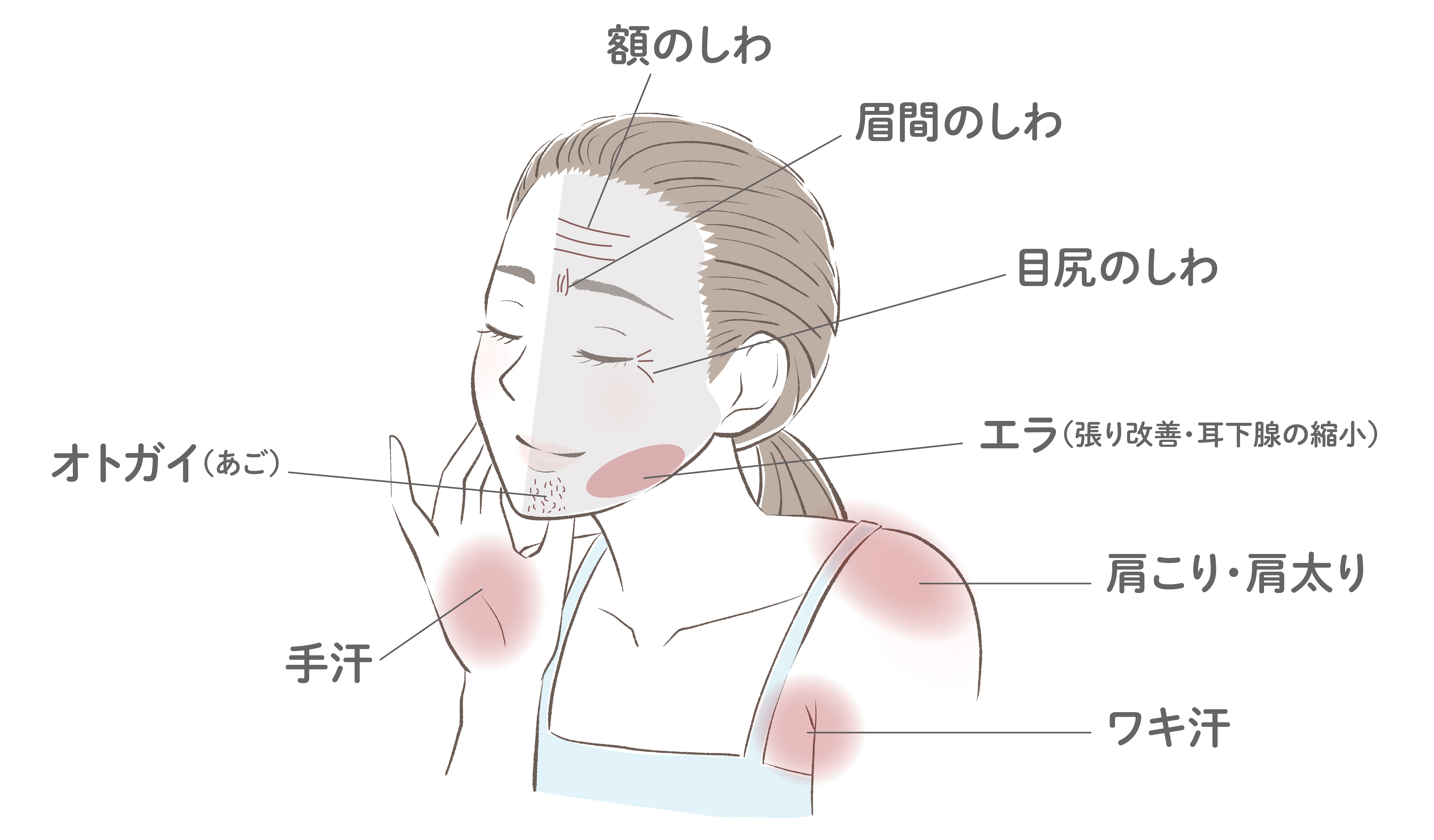 効果のある箇所