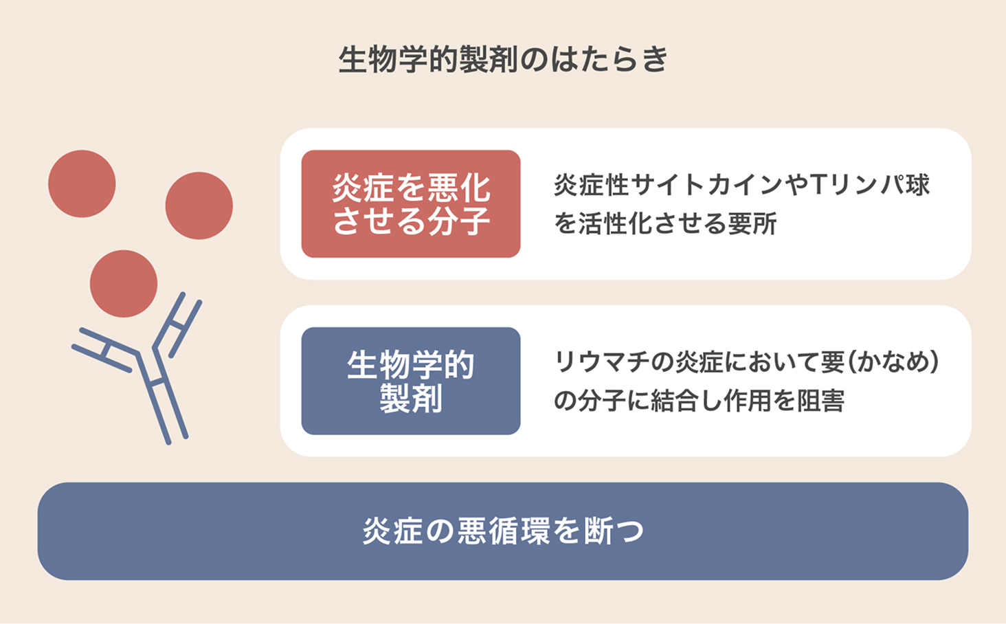 生物学的製剤のはたらき