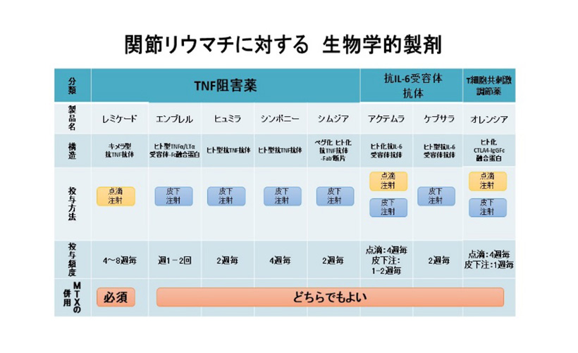 生物学的製剤について図