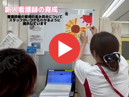 新人の教育
