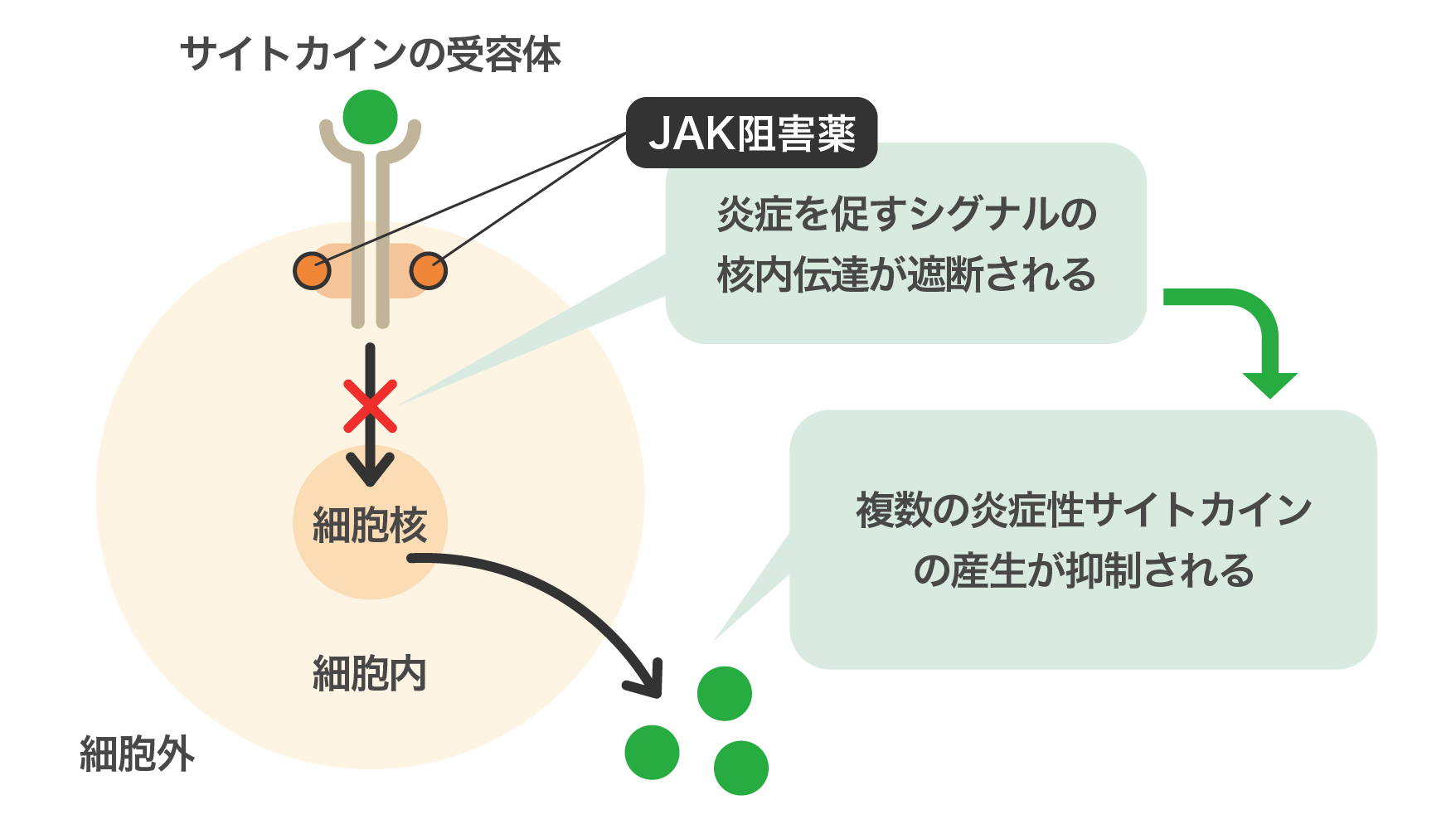 JAK阻害薬