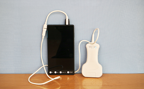 ポケットエコー