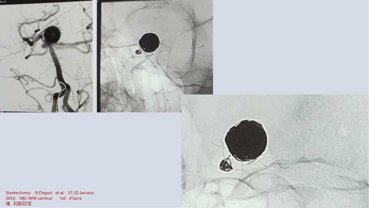 fig08
