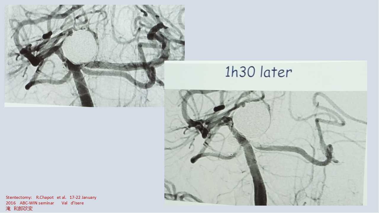 fig09