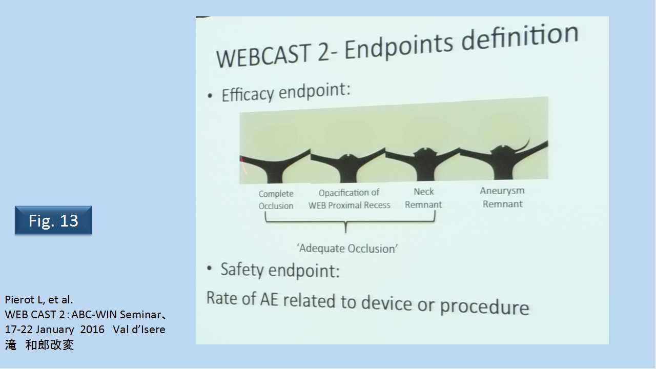 fig13